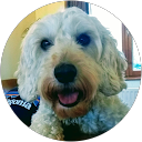shirley harker profile picture